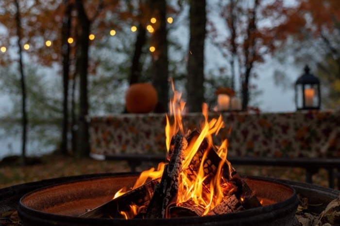 Kiln Dried Log Fire